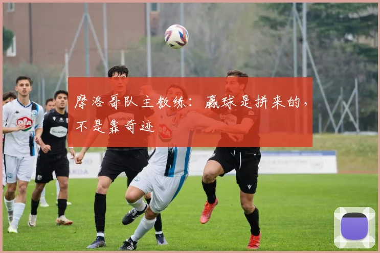 摩洛哥队主教练：赢球是拼来的，不是靠奇迹