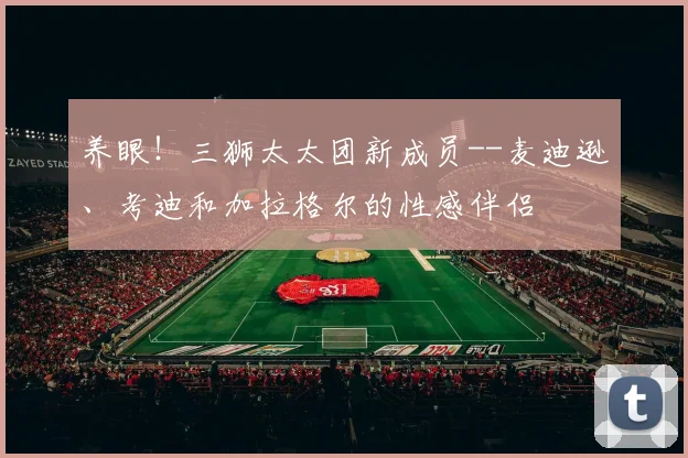 养眼！三狮太太团新成员--麦迪逊、考迪和加拉格尔的性感伴侣